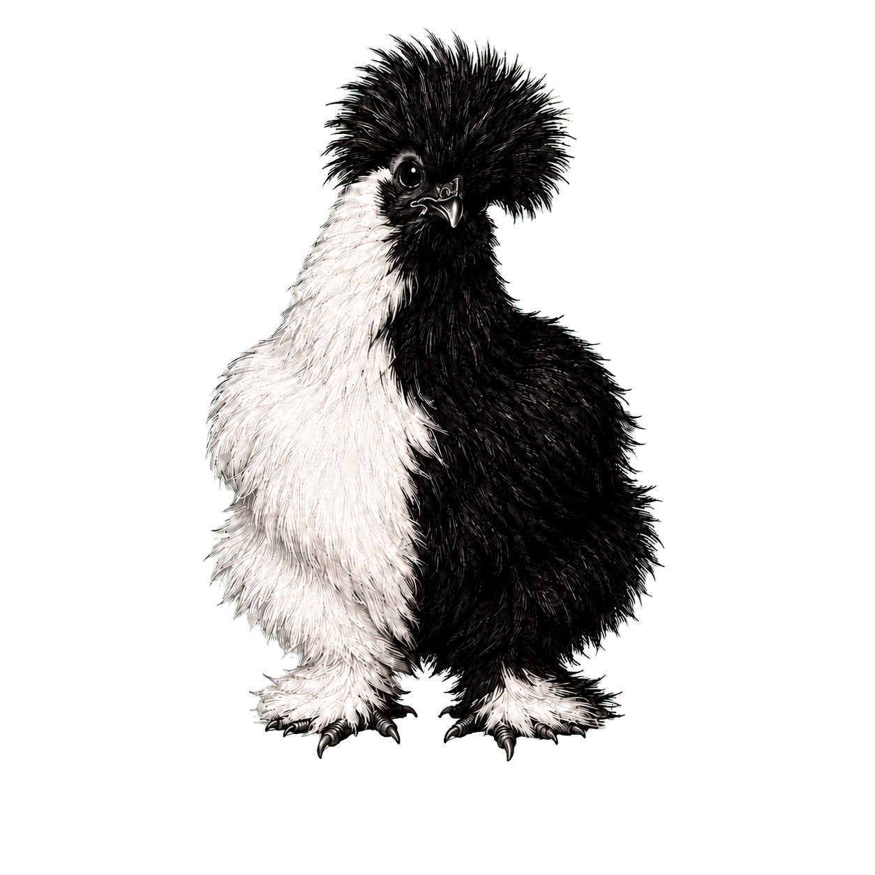 The Goblin Reactor silkie chicken